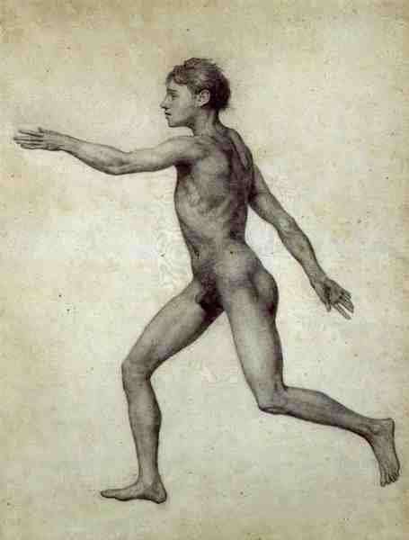 The Entire Human Figure from the Left, lateral view, from the series A Comparative Anatomical Exposition of the Structure of the Human Body with that of a Tiger and a Common Fowl, 1795-1806 by Romanticism