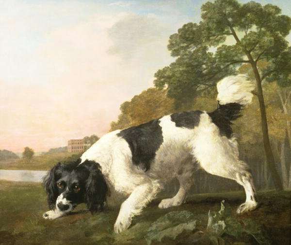 A Spaniel in a Landscape, 1771 by Romanticism