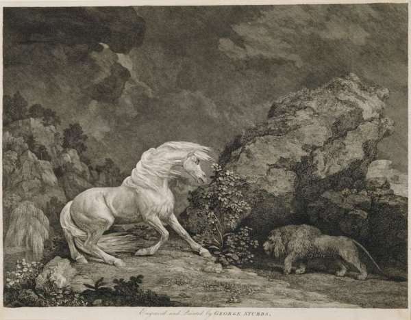 A Horse Affrighted by a Lion, engraved by the artist by Romanticism