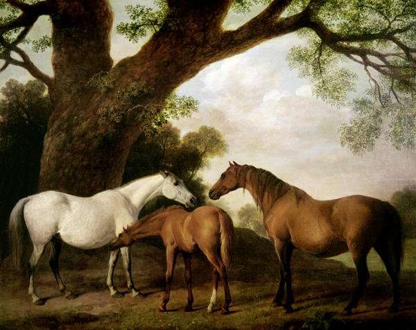Two Shafto Mares and a Foal, 1774 by Romanticism