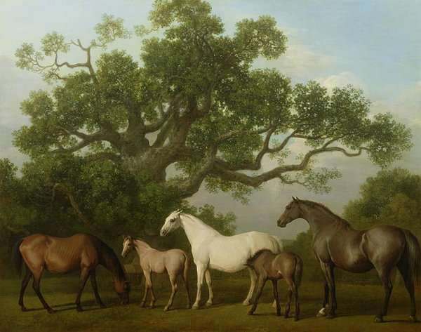 Mares and Foals under an Oak Tree, 1773 by Romanticism