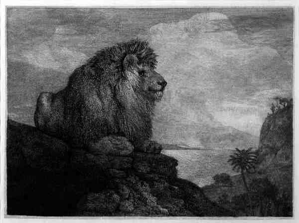 A Lion A Lion Resting on a Rock engraved by the artist by Romanticism