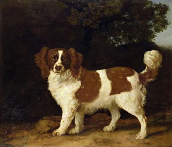 A Liver and White Spaniel, 1777 by Romanticism