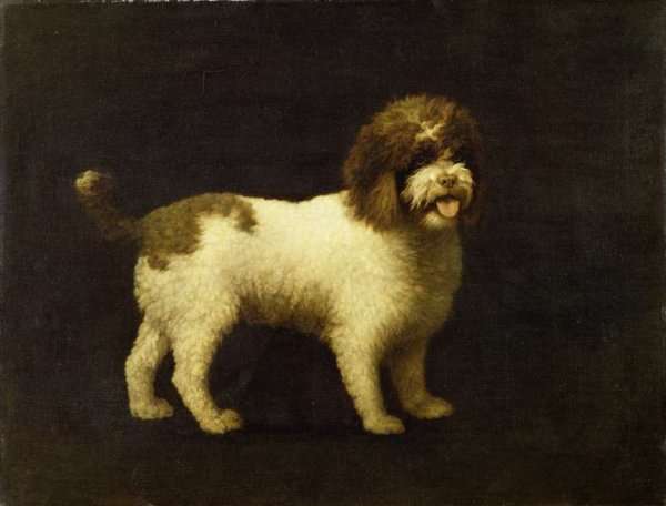 A Water Spaniel, 1769 by Romanticism