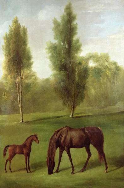 A Chestnut Mare and Foal in a Wooded Landscape, c.1761-63 by Romanticism