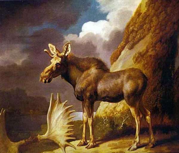 Moose, 1770 by Romanticism