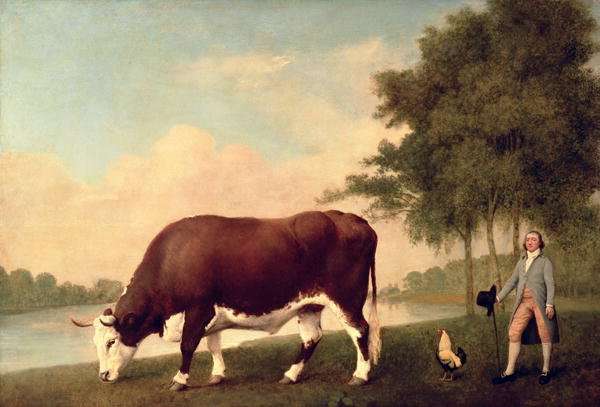 The Lincolnshire Ox, c.1790 by Romanticism