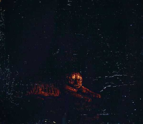 A Tiger by Romanticism