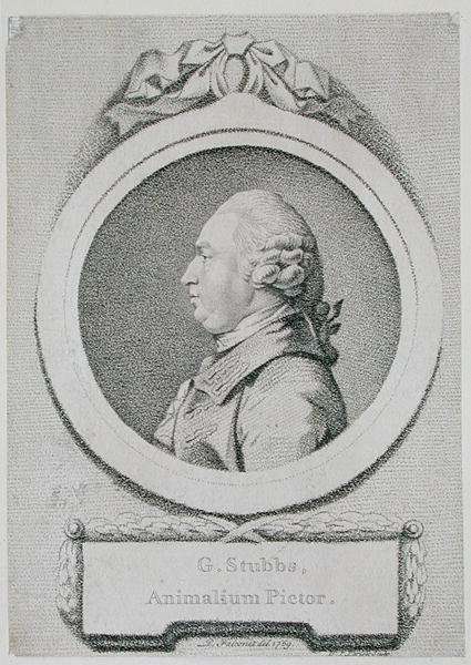 Portrait study of George Stubbs 1724-1806 by Romanticism