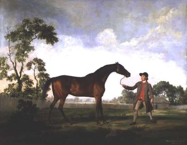 The Duke of Ancasters bay stallion Spectator, held by a groom, c.1762-5 by Romanticism