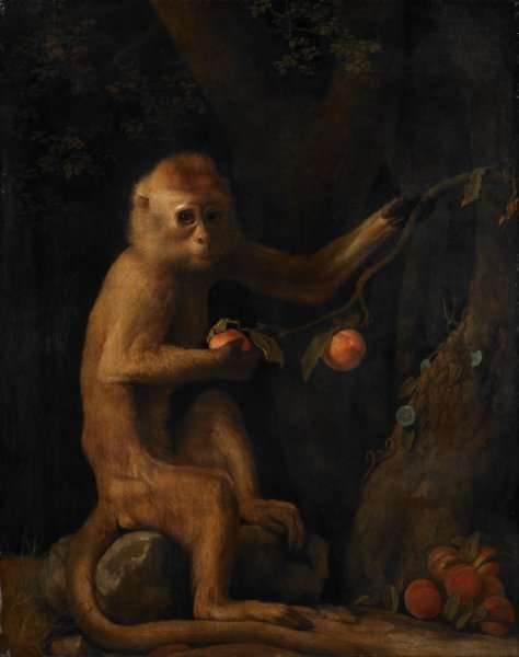Portrait of a Monkey dated 1774 by Romanticism