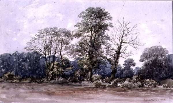 Trees at Perry Bar near Birmingham by Romanticism