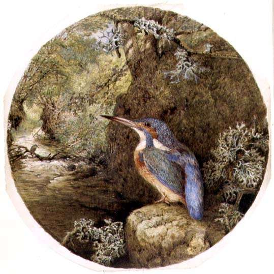The Kingfishers Haunt, 1864 by Romanticism