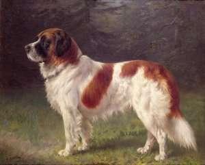 St. Bernard by Romanticism