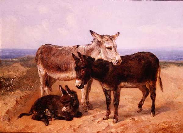 Sand Asses by Romanticism