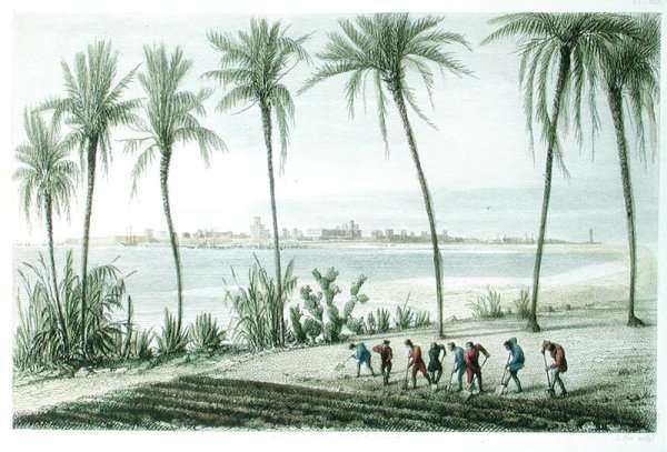 General View of Cadiz, engraved by John Pye 1782-1874 by Romanticism