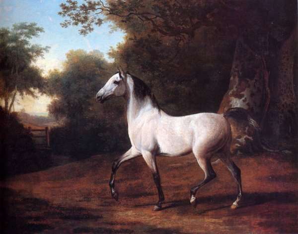 A Grey Arab Stallion In A Wooded Landscape by Romanticism