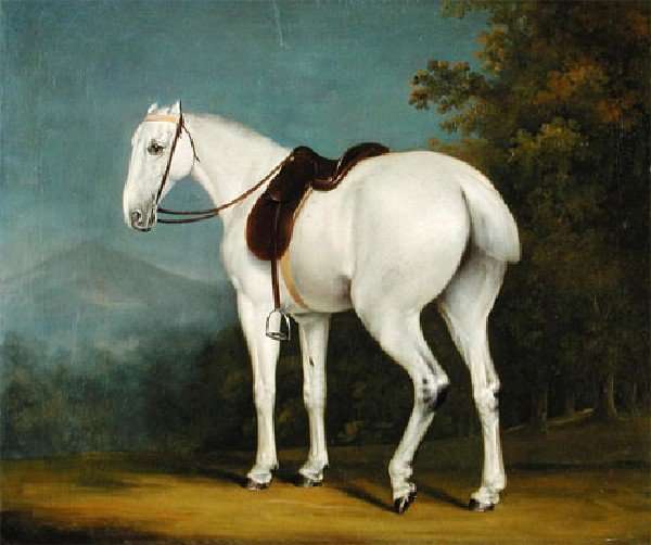 A Ladys Grey Hunter by Romanticism