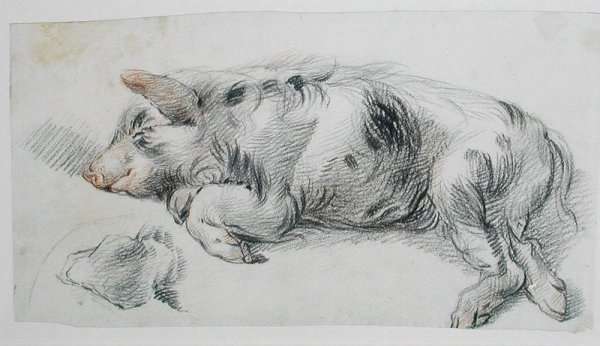 Sleeping Pig by Romanticism