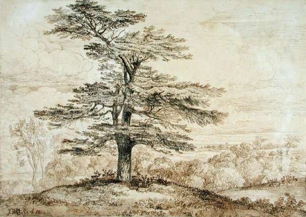A Cedar on a Rise with a Herd of Deer Grouped Beneath its Shade, 1814 by Romanticism