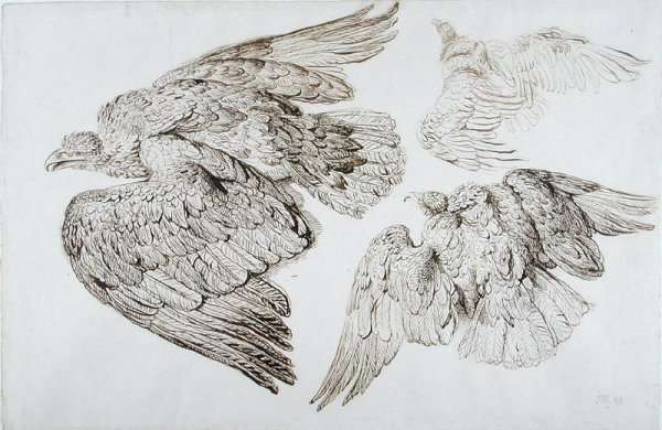Eagles by Romanticism
