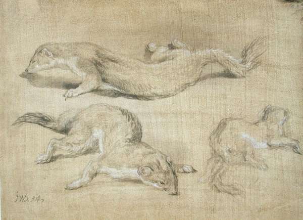Ferrets by Romanticism