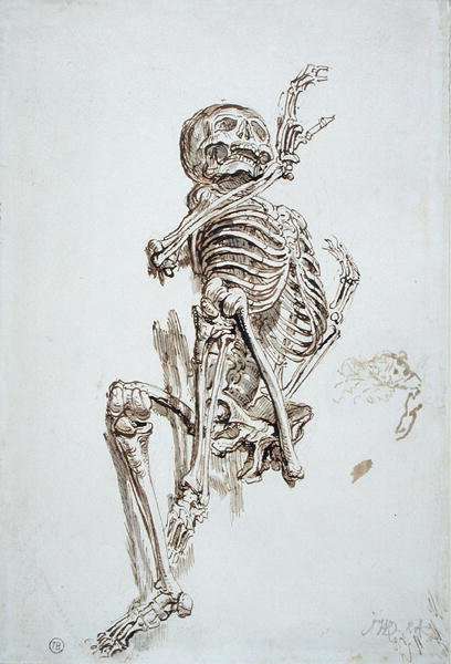 A Human Skeleton by William Robert Symonds