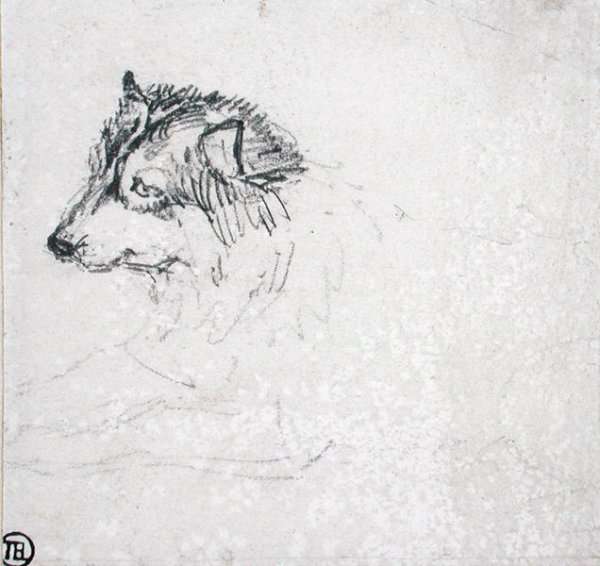 Arctic dog, facing left by Romanticism