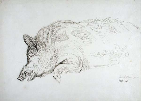 A Wild Boar, Asleep or Dead, 1814 by Romanticism