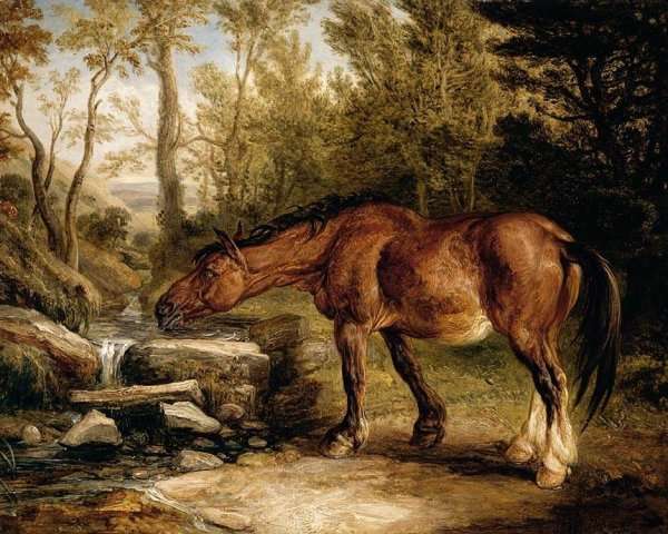A Horse Drinking at a Stream 1838 by Romanticism