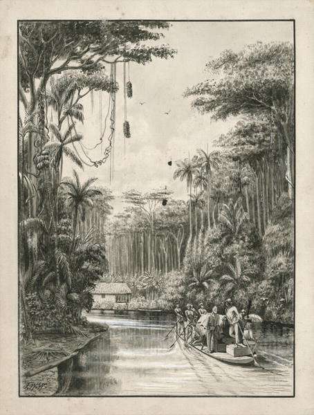 Grajau River, Maranhao, Brazil, frontispiece to Volume I of Three Thousand Miles through Brazil by Romanticism