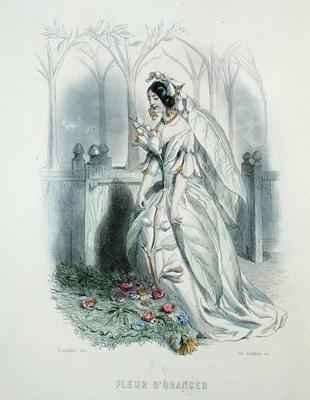 The Orange Blossom from Les Fleurs Animees by Romanticism