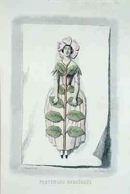 Periwinkle withered from Les Fleurs Animees by Romanticism