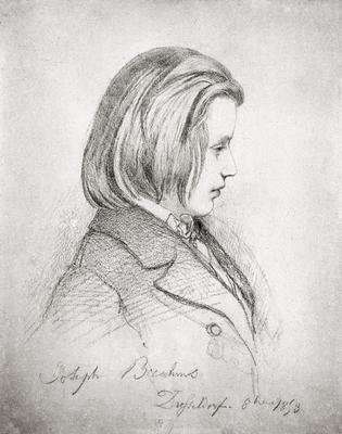 Portrait of Johanes Brahms 1833-97 by Romanticism