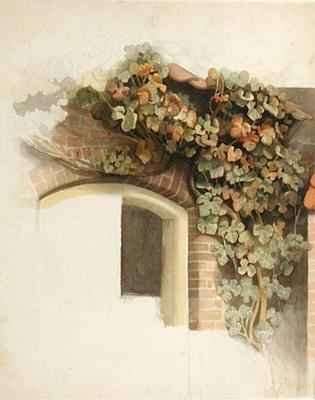 Grapevines on a Brick House by Romanticism