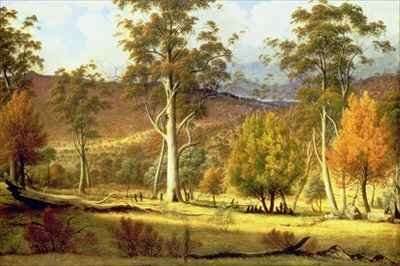 Natives in the Eucalypt Forest on Mills Plains Patterdale Farm by Romanticism