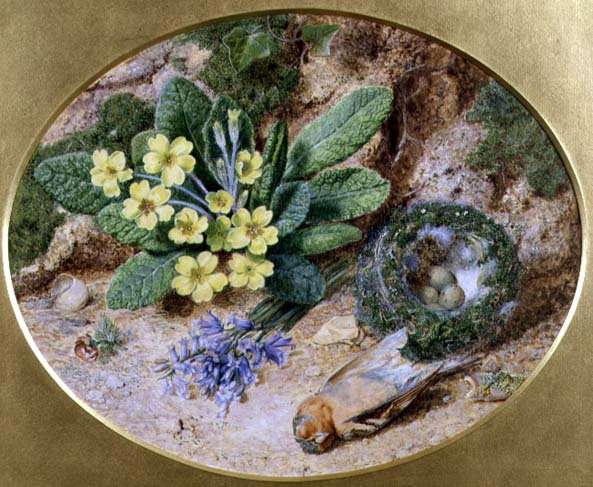Still Life With Birds Nest by Romanticism