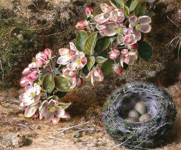 Blossom and Birds nest by Romanticism