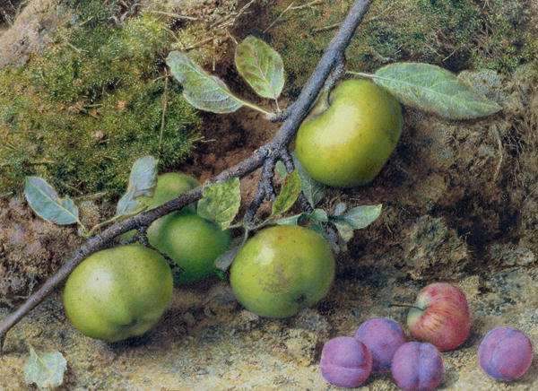 Apples and Plums on a Mossy Bank by Romanticism