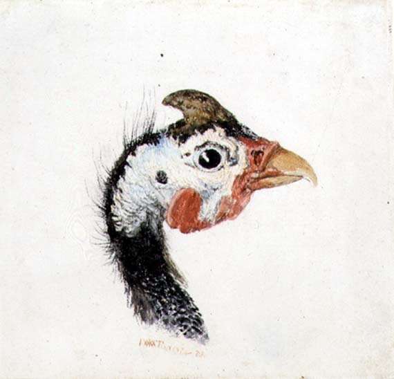 Guinea Fowl, from The Farnley Book of Birds, c.1816 by Romanticism