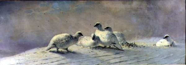 Ptarmigan - Winter, 1861 by Romanticism
