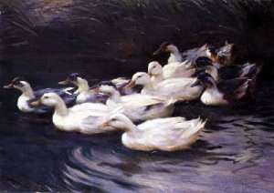 Ducks by Romanticism