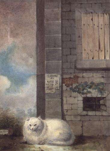 White Persian Cat by Romanticism