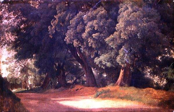 Oak Trees in Holstein by Romanticism