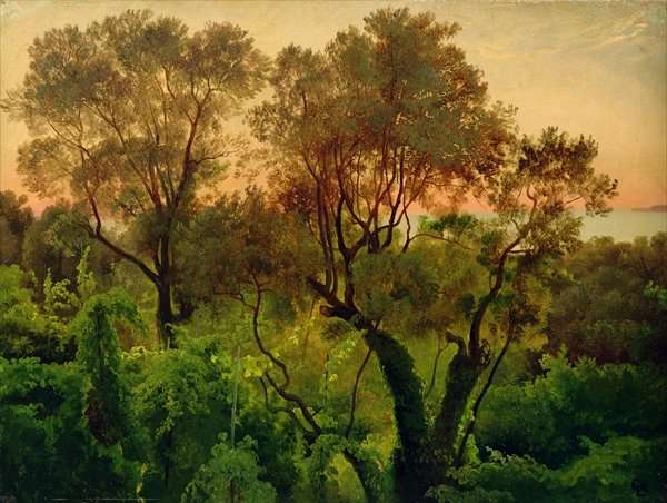 Slope with Olive Trees by Romanticism