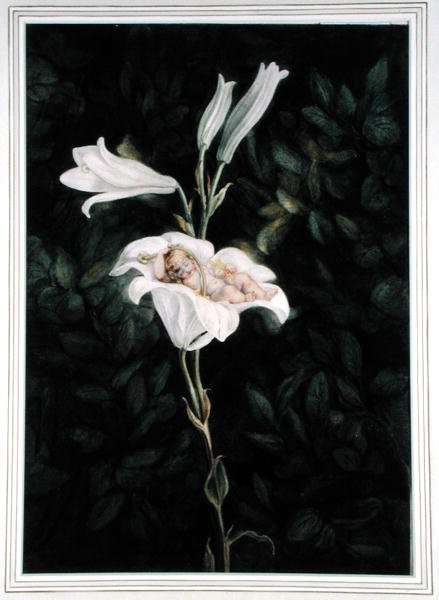 Cradling Lilies by Romanticism