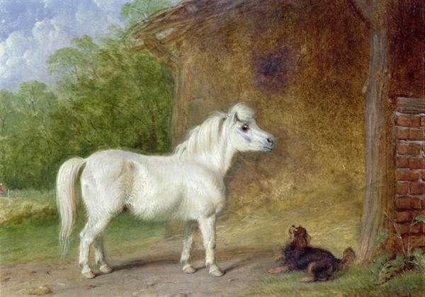 A Shetland pony and a King Charles spaniel by Romanticism