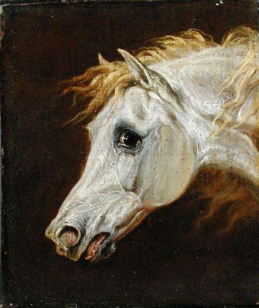 Head of a Grey Arabian Horse by Romanticism