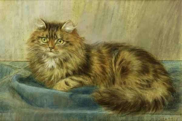 Persian Cat by Romanticism