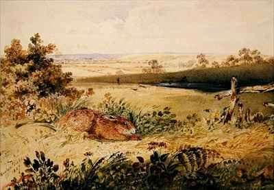 Hare in a Landscape by Romanticism